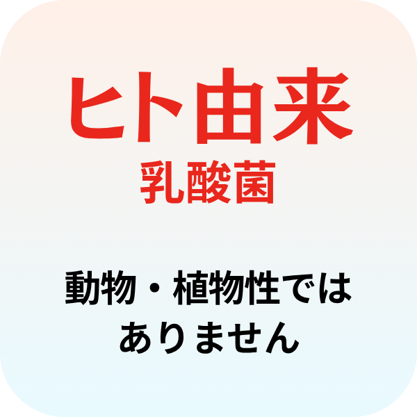 ヒト由来乳酸菌
