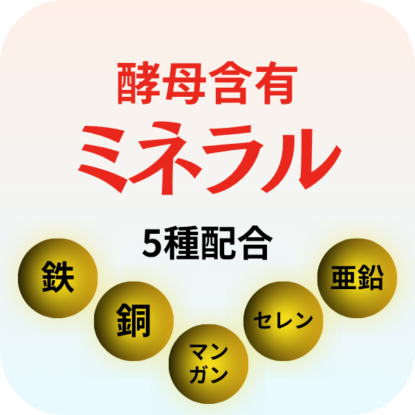 酵母含有ミネラル５種配合