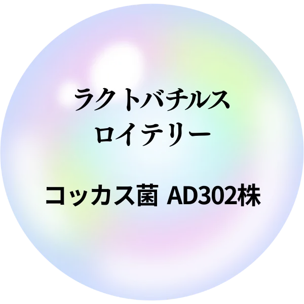 ラクトバチルス・ロイテリー（コッカス菌AD302株）24mg